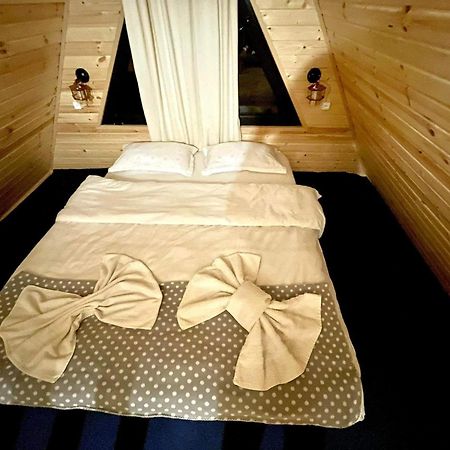 Ska Cottage Kazbegi Εξωτερικό φωτογραφία
