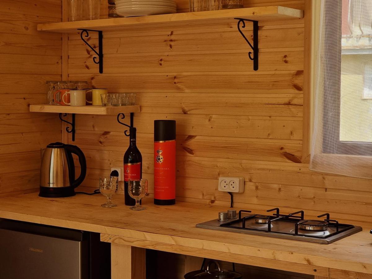 Ska Cottage Kazbegi Εξωτερικό φωτογραφία